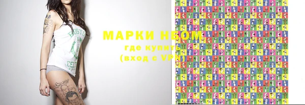 гашик Арсеньев
