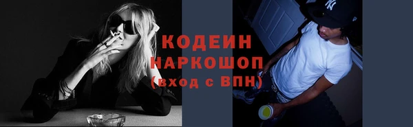 гашик Арсеньев