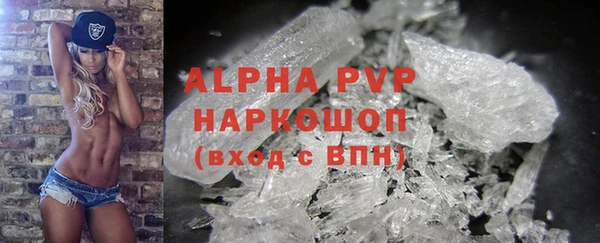 гашик Арсеньев